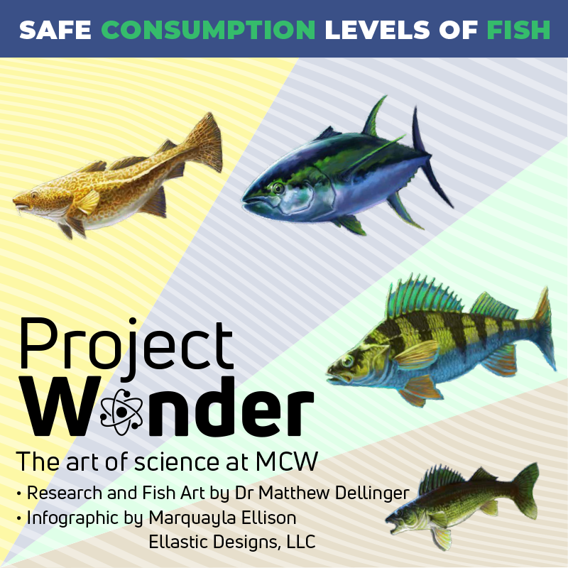 Fish consumption Project Wonder Credits thumbnail